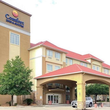 Comfort Inn & Suites Near Six Flags & Medical Center San Antonio Exterior foto